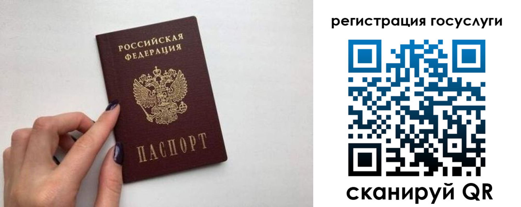 временная регистрация гарантия в Ногинске
